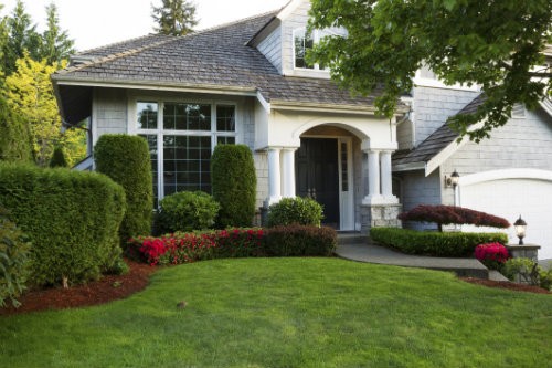 Manicured front yard of beautiful Charlotte home